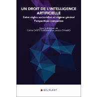 Un droit de l'intelligence artificielle